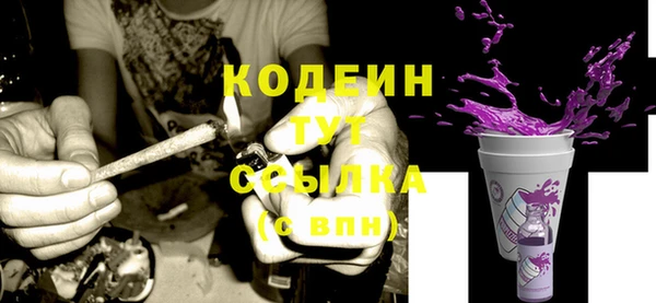 шишки Нея