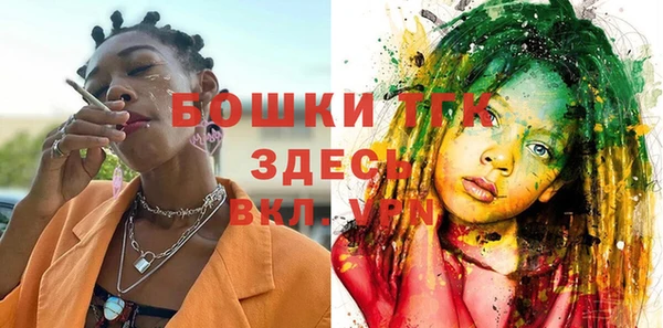 шишки Нея