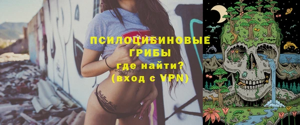 крисы Новокубанск
