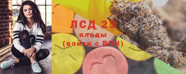 шишки Нея