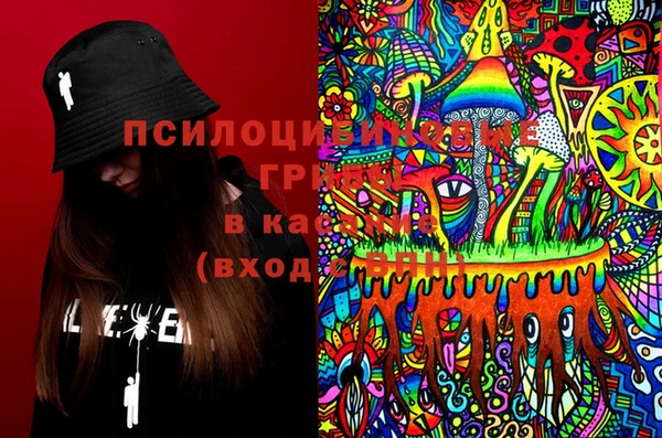 шишки Нея